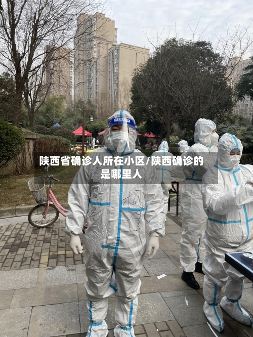 陕西省确诊人所在小区/陕西确诊的是哪里人