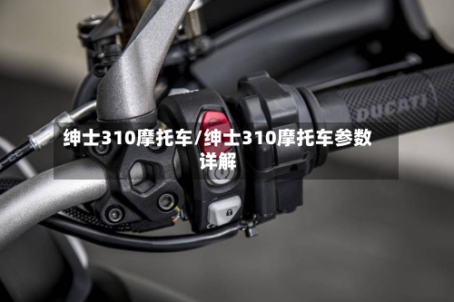 绅士310摩托车/绅士310摩托车参数详解-第3张图片