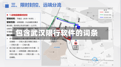 包含武汉限行软件的词条