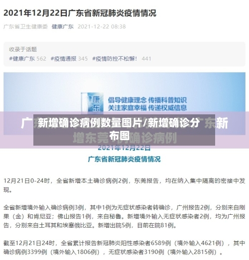 新增确诊病例数量图片/新增确诊分布图