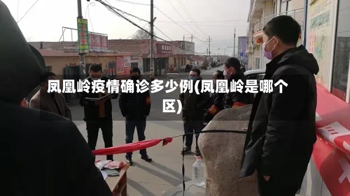 凤凰岭疫情确诊多少例(凤凰岭是哪个区)-第2张图片