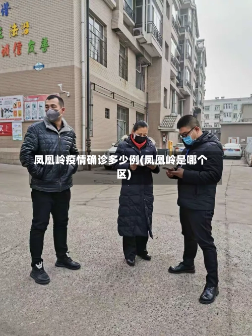凤凰岭疫情确诊多少例(凤凰岭是哪个区)
