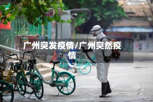 广州突发疫情/广州突然疫情