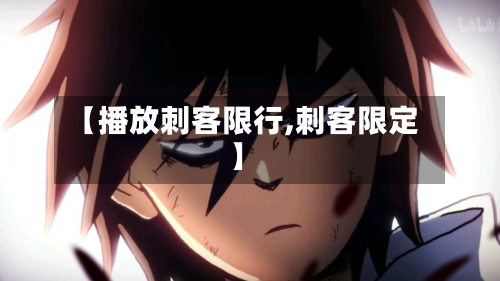 【播放刺客限行,刺客限定】