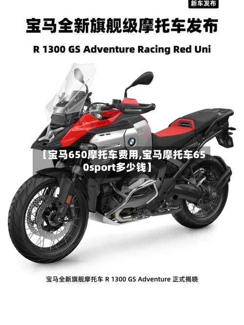 【宝马650摩托车费用,宝马摩托车650sport多少钱】-第3张图片