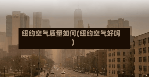 纽约空气质量如何(纽约空气好吗)
