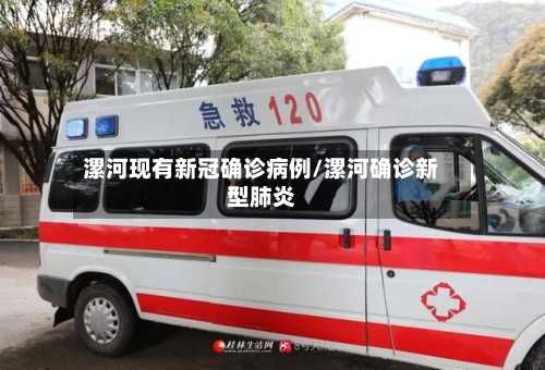 漯河现有新冠确诊病例/漯河确诊新型肺炎-第3张图片
