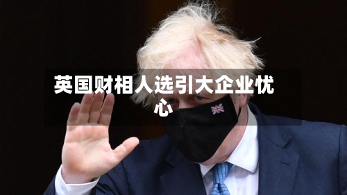 英国财相人选引大企业忧心