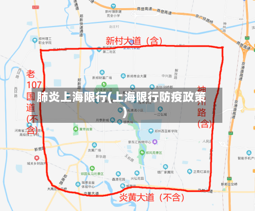 肺炎上海限行(上海限行防疫政策)-第3张图片