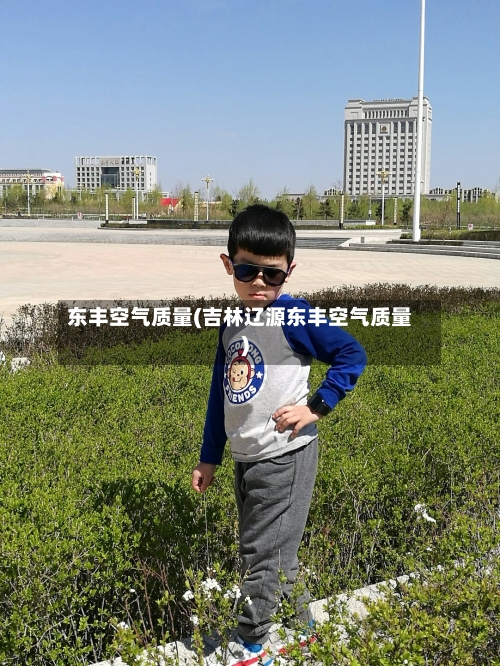 东丰空气质量(吉林辽源东丰空气质量)-第2张图片