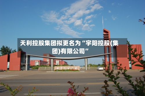 天利控股集团拟更名为“宇阳控股(集团)有限公司”-第2张图片