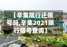 【辛集限行还限号吗,辛集2021限行限号查询】