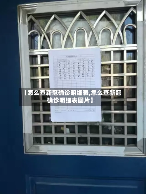 【怎么查新冠确诊明细表,怎么查新冠确诊明细表图片】-第2张图片