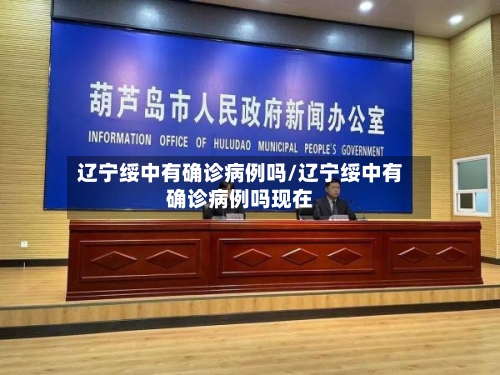 辽宁绥中有确诊病例吗/辽宁绥中有确诊病例吗现在-第3张图片