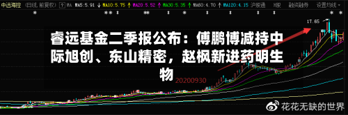 睿远基金二季报公布：傅鹏博减持中际旭创、东山精密，赵枫新进药明生物-第2张图片