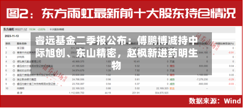 睿远基金二季报公布:傅鹏博减持中际旭创、东山精密,赵枫新进药明生物