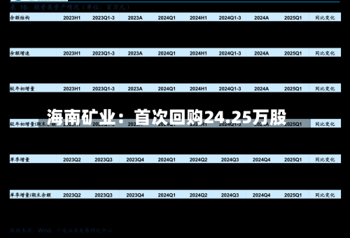 海南矿业:首次回购24.25万股