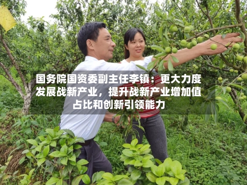国务院国资委副主任李镇：更大力度发展战新产业，提升战新产业增加值占比和创新引领能力
