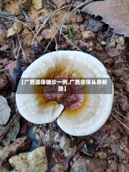 【广西德保确诊一例,广西德保头条新闻】