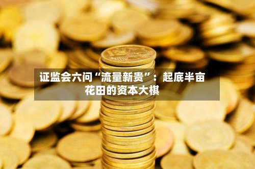 证监会六问“流量新贵”：起底半亩花田的资本大棋-第2张图片