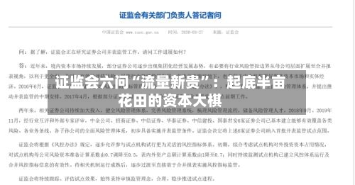 证监会六问“流量新贵	”：起底半亩花田的资本大棋-第3张图片
