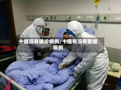 十堰现有确诊病例/十堰有没有新增病例-第2张图片
