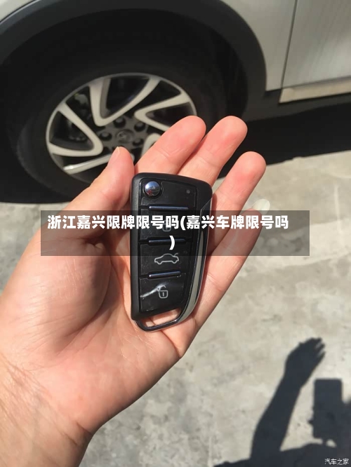 浙江嘉兴限牌限号吗(嘉兴车牌限号吗)-第2张图片