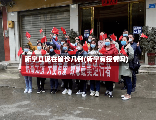 新宁县现在确诊几例(新宁有疫情吗)-第2张图片