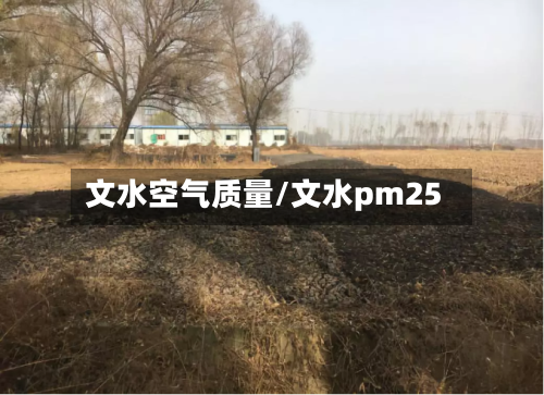 文水空气质量/文水pm25