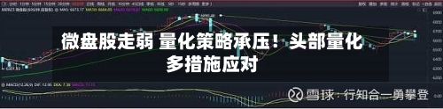 微盘股走弱 量化策略承压!头部量化多措施应对-第2张图片