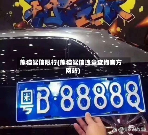 熊猫驾信限行(熊猫驾信违章查询官方网站)-第3张图片