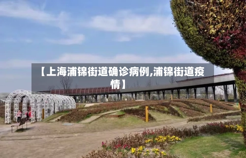 【上海浦锦街道确诊病例,浦锦街道疫情】-第1张图片