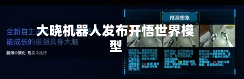 大晓机器人发布开悟世界模型