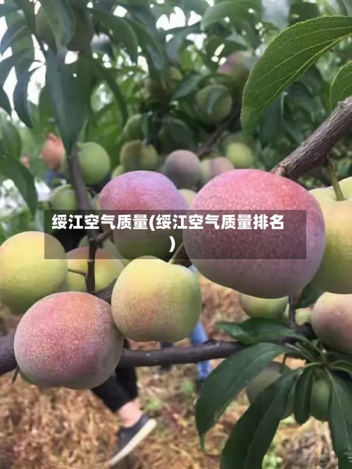 绥江空气质量(绥江空气质量排名)