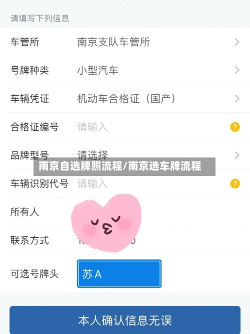 南京自选牌照流程/南京选车牌流程-第3张图片