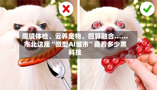 魔镜体检、云养宠物、四算融合……市北这座“微型AI城市	”藏着多少黑科技-第1张图片