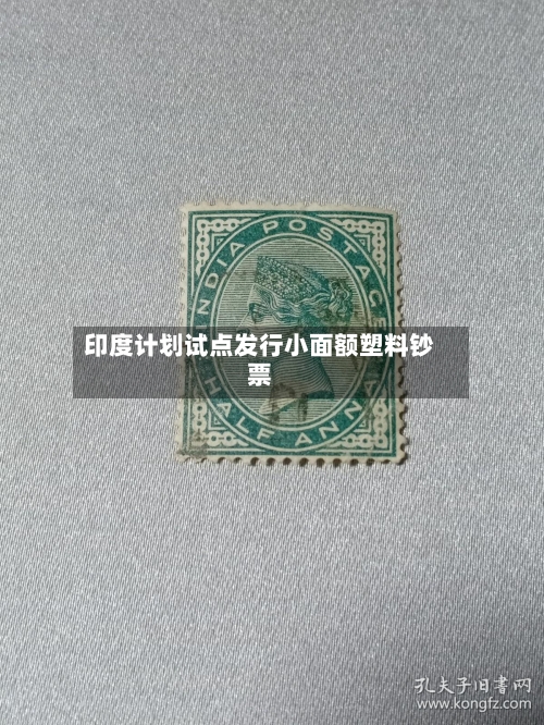 印度计划试点发行小面额塑料钞票-第2张图片