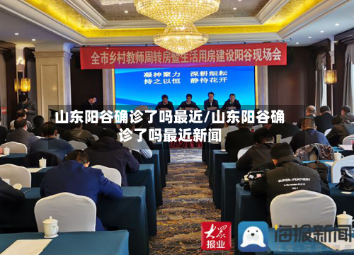 山东阳谷确诊了吗最近/山东阳谷确诊了吗最近新闻-第2张图片
