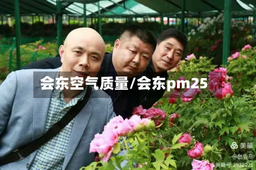 会东空气质量/会东pm25