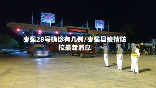 枣强28号确诊有几例/枣强县疫情防控最新消息-第3张图片