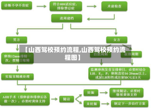 【山西驾校预约流程,山西驾校预约流程图】-第2张图片