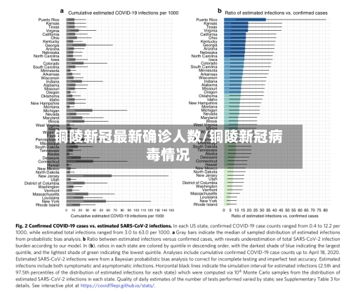 铜陵新冠最新确诊人数/铜陵新冠病毒情况