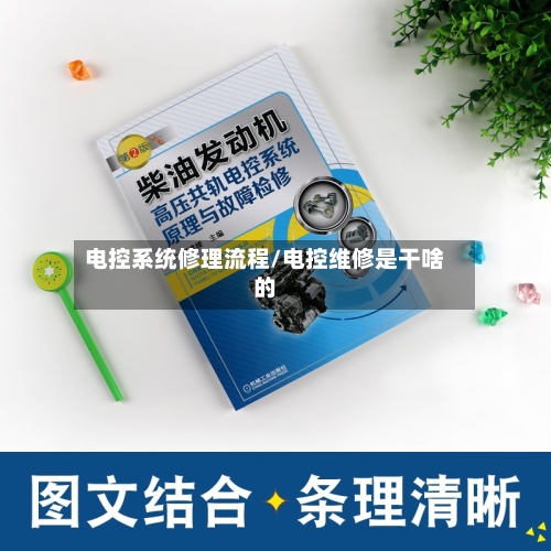 电控系统修理流程/电控维修是干啥的-第2张图片