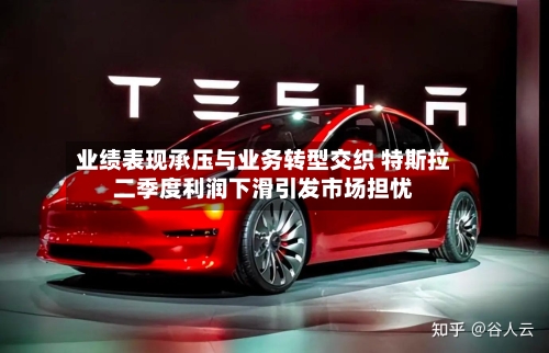业绩表现承压与业务转型交织 特斯拉二季度利润下滑引发市场担忧-第2张图片