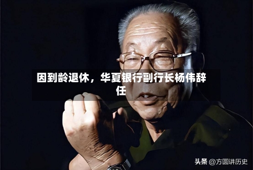 因到龄退休，华夏银行副行长杨伟辞任-第2张图片