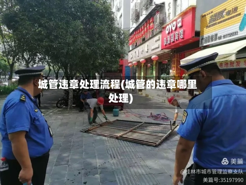 城管违章处理流程(城管的违章哪里处理)-第2张图片