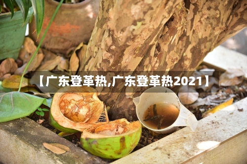 【广东登革热,广东登革热2021】