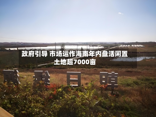 政府引导 市场运作海南年内盘活闲置土地超7000亩