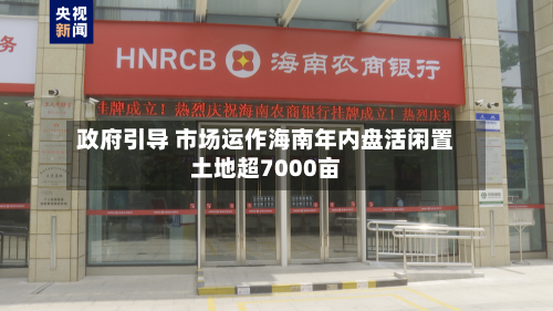 政府引导 市场运作海南年内盘活闲置土地超7000亩-第3张图片