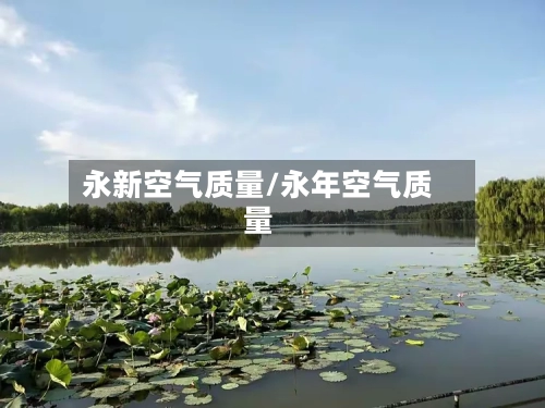 永新空气质量/永年空气质量-第3张图片